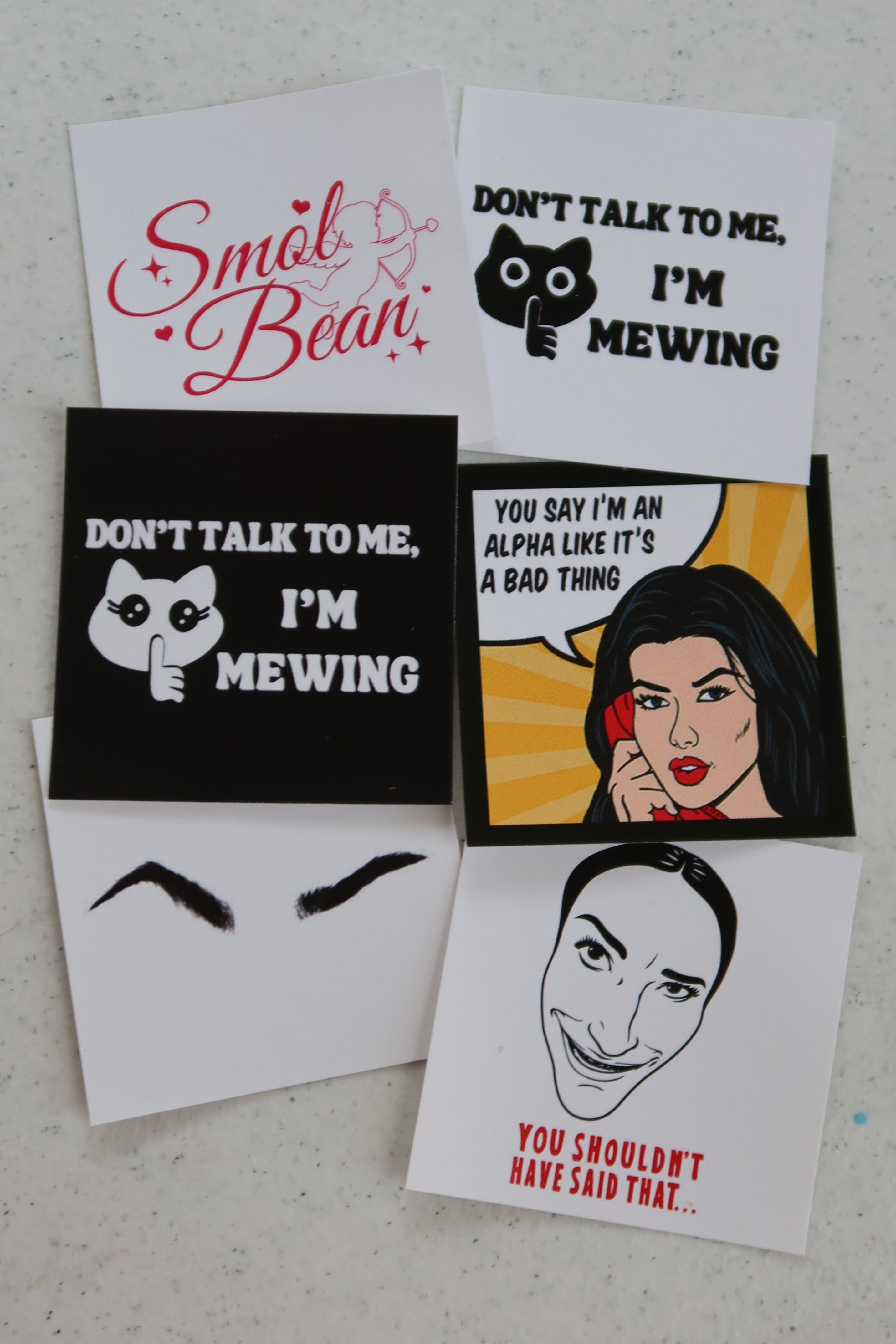 Always Mewing Sticker Pack- 6 Stickers – Gracie PA Merch